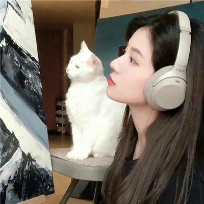 精灵鼠小弟